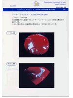 分析レポート